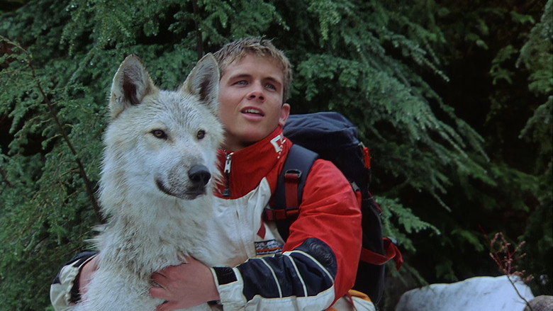 Silver Wolf still 2