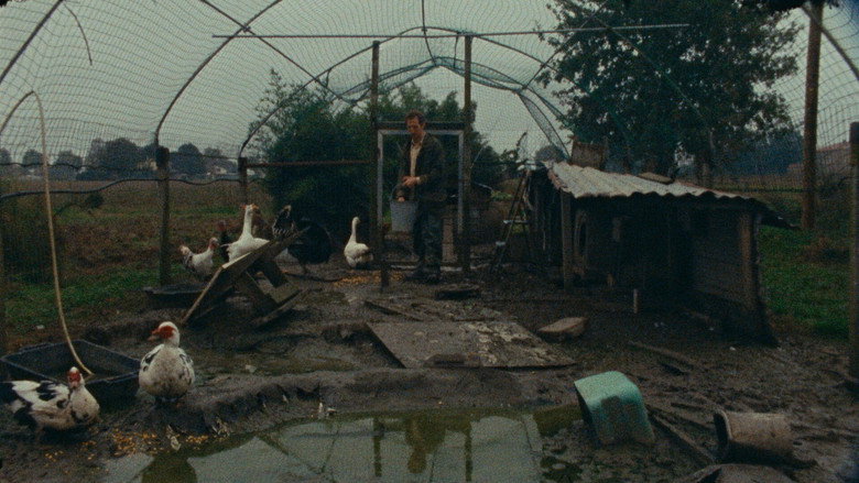 Kràlik still 3