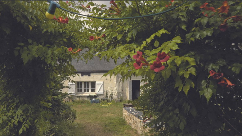 Splendeurs et Illusions still 6
