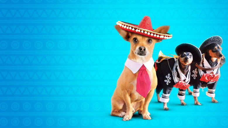 Beverly Hills Chihuahua 3: Viva la Fiesta! still 3
