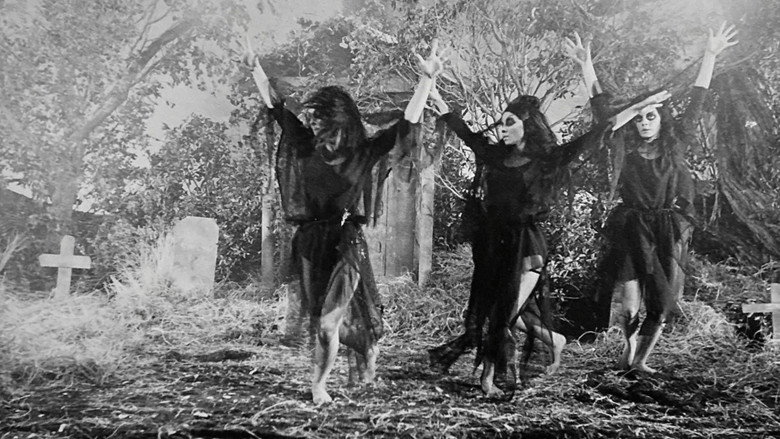 The Undead still 6