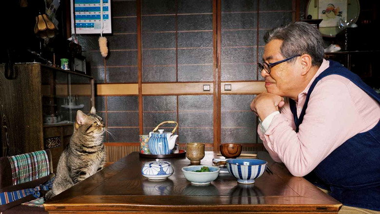 The Island of Cats still 2