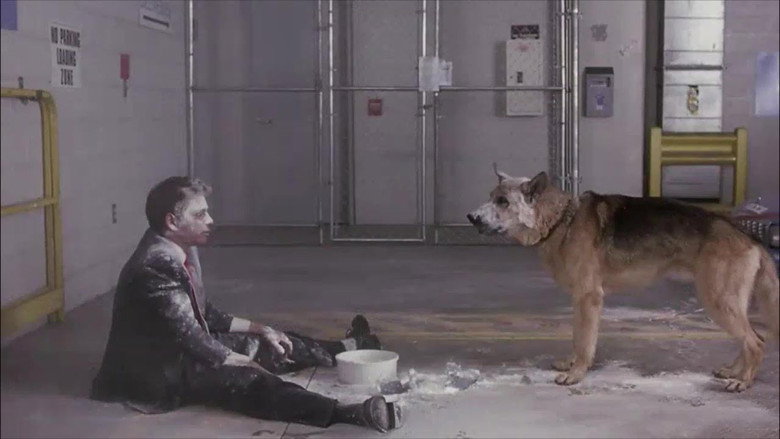 Corky Romano still 2