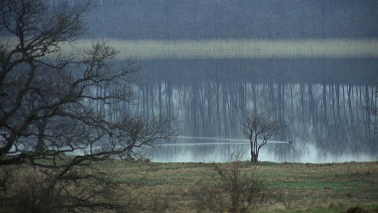 The New Land still 1
