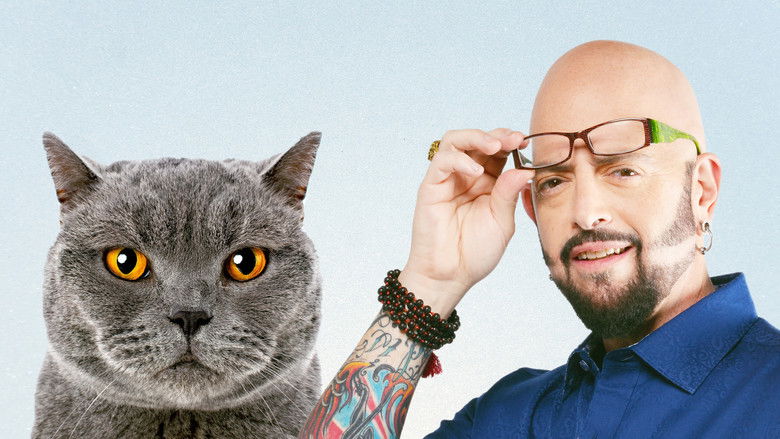 My Cat from Hell still 1