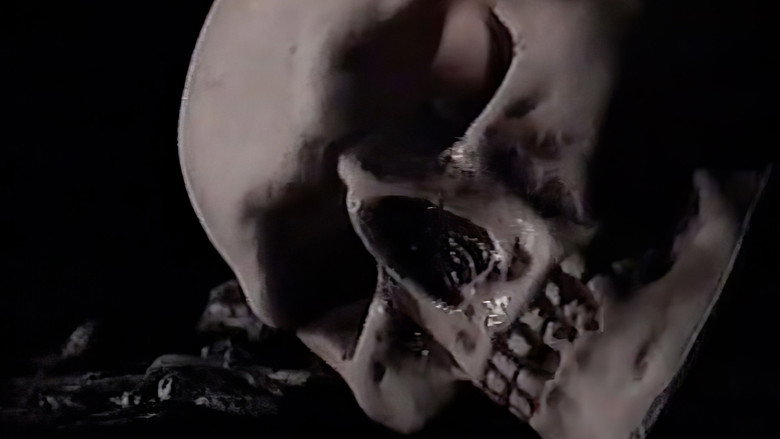 Death ...is just the beginning still 1