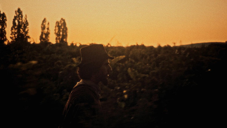 SHORTCUT still 6