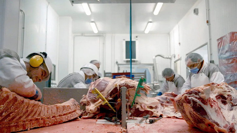 Production Line Animals still 3