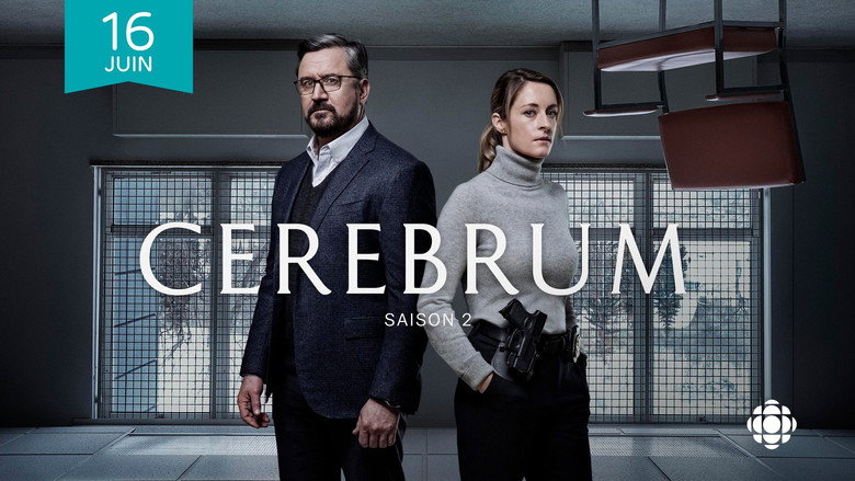 Cerebrum still 5
