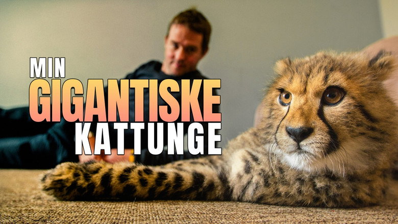 Big Cats About The House still 2
