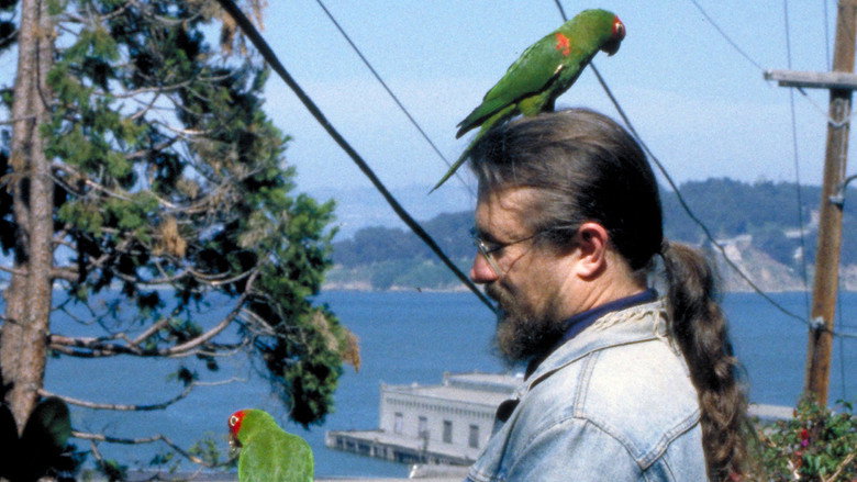 The Wild Parrots of Telegraph Hill still 5