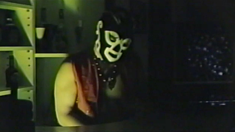 Gay Toybox still 1