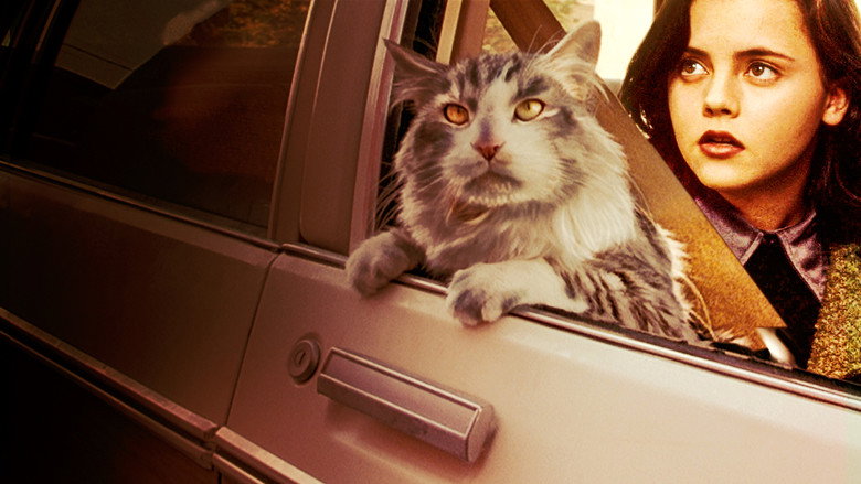 That Darn Cat still 2