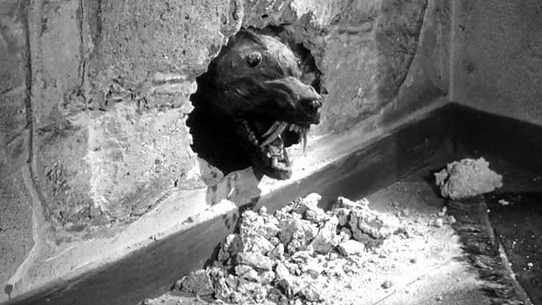 The Killer Shrews still 1