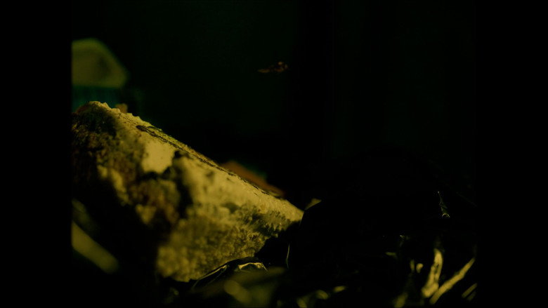 Genesis of evil still 2