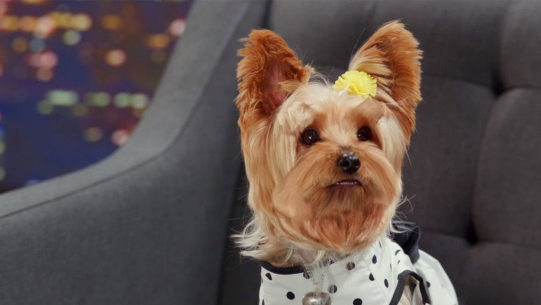 Pup Star: Better 2Gether still 1
