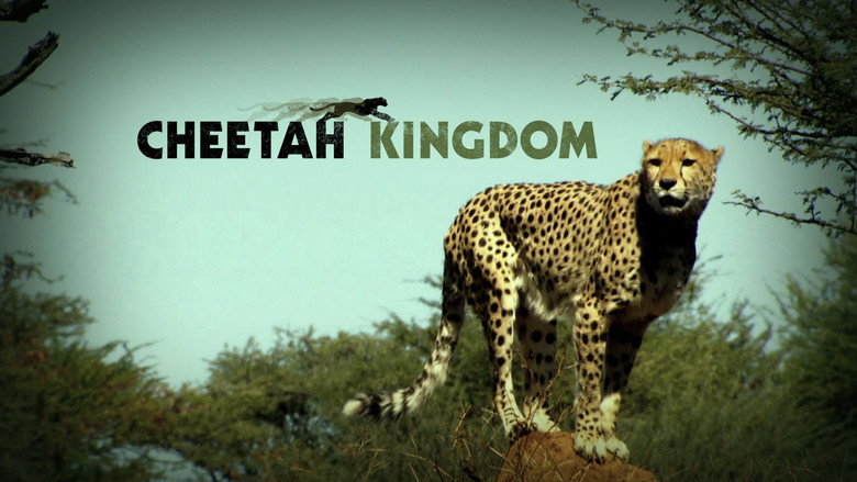 Cheetah Kingdom still 1