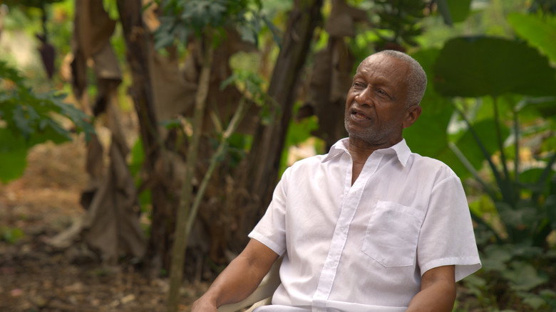 Mamá Tingó: Living memory of the Dominican land still 3