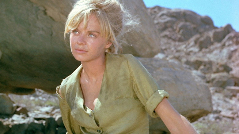 Sands of the Kalahari still 3