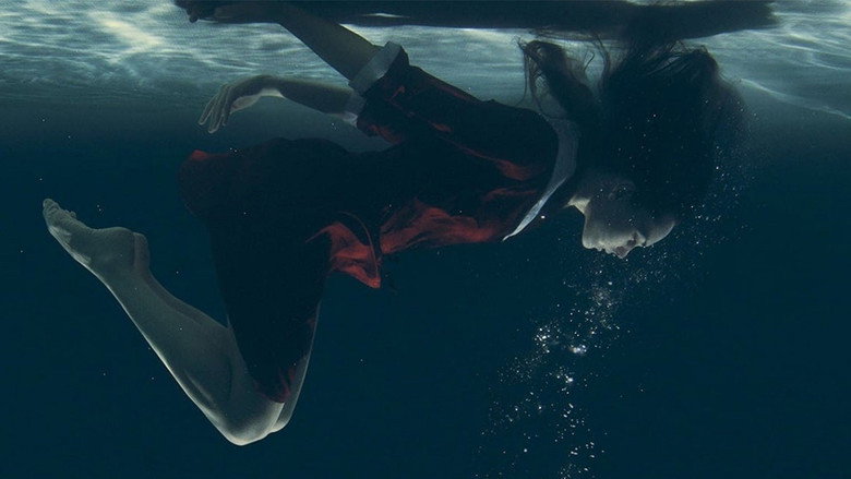 Chlorine still 1