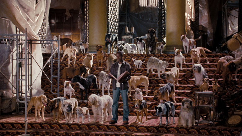 Hotel for Dogs still 7