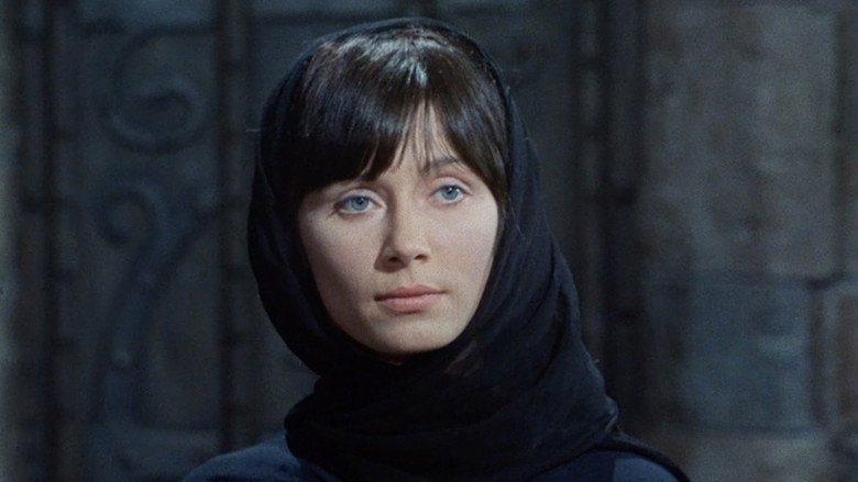 A Challenge for Robin Hood still 5