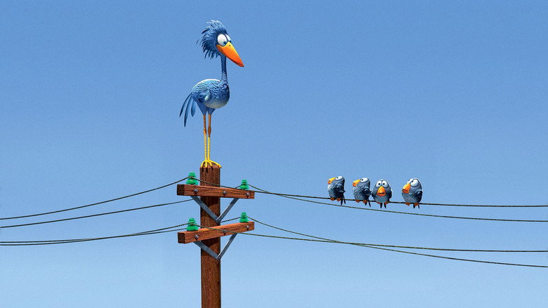 For the Birds still 3