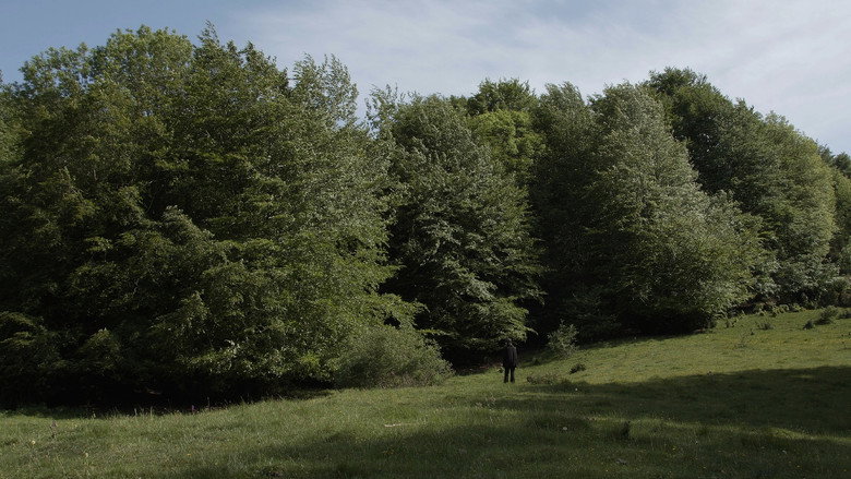 La Malesa still 1