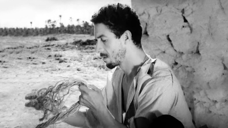 The Desert Divers still 1