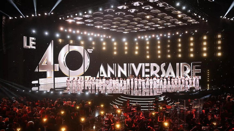 Les Victoires de la musique, 40 ans d'émotion en chansons still 3