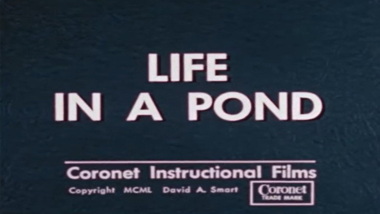 Life in a Pond still 1