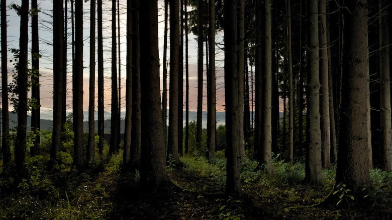 L'homme et la forêt still 1