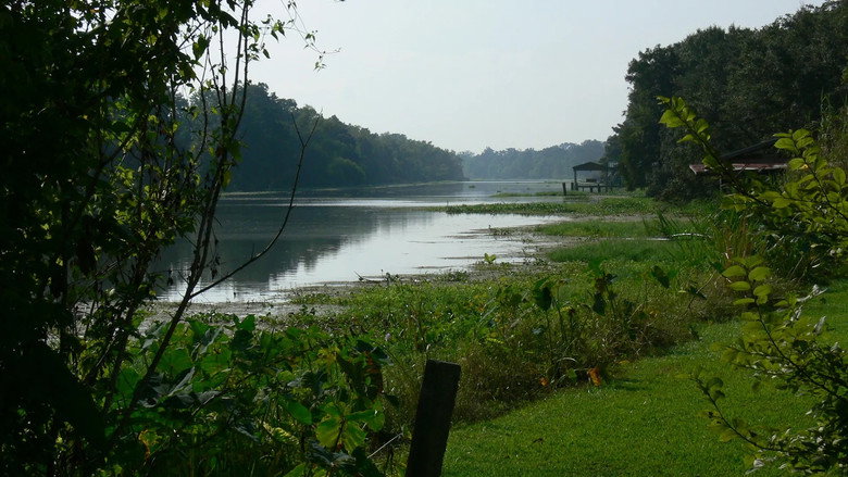 Rivers and Life still 1