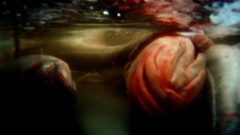 Leviathan still 7
