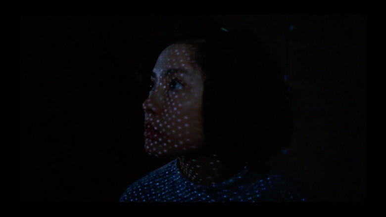 Goodbye, Dragon Inn still 6