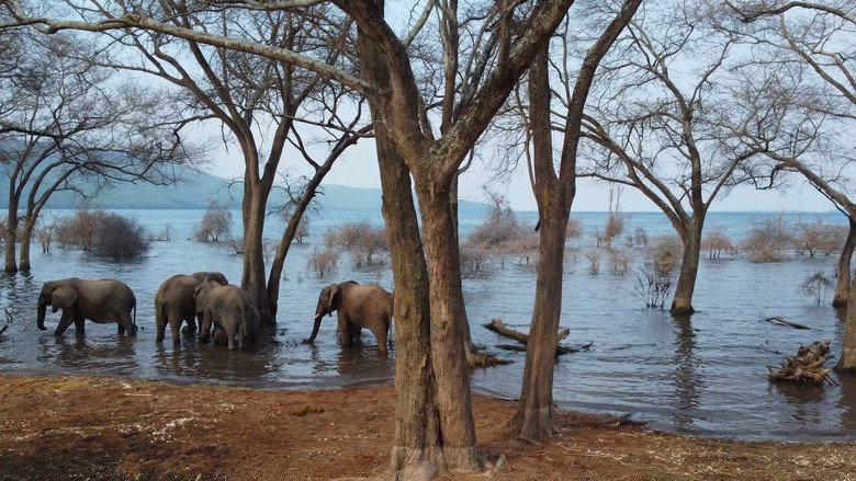 Le lac Tanganyika, la source de vie de l'Afrique still 1