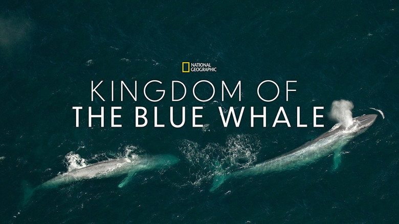 Kingdom of the Blue Whale still 1