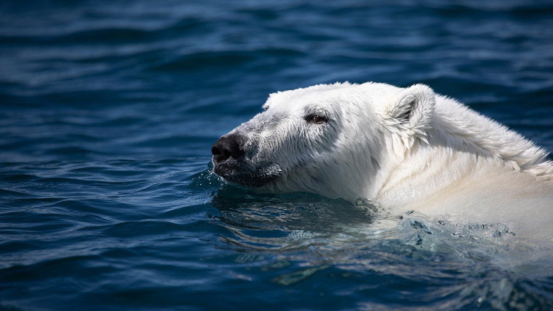 Under Thin Ice still 6