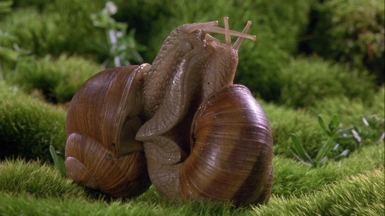 Microcosmos still 6