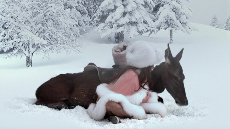 The Sleeping Beauty still 7