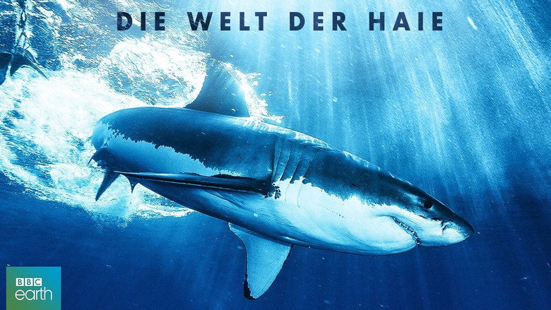 Shark still 2