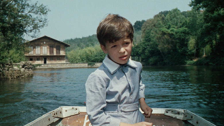 Misunderstood still 8
