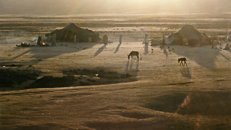In the Beginning still 1