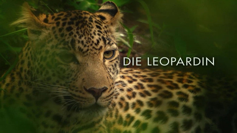 The Leopardess still 1