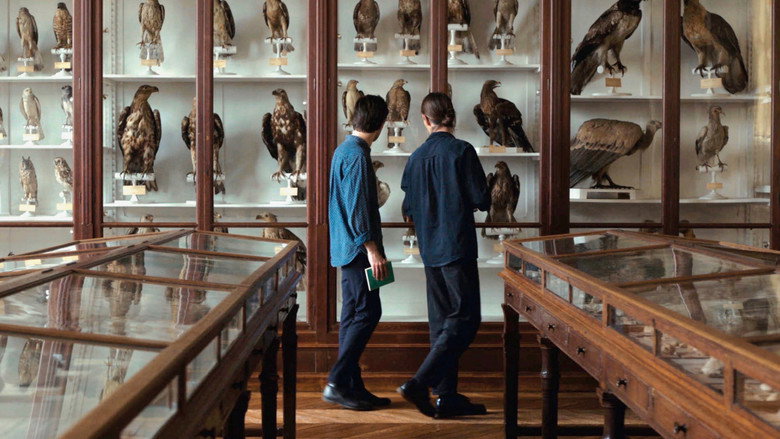 Language of Birds still 2