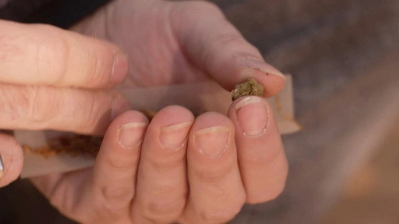 Cannabis, un paradoxe français still 1