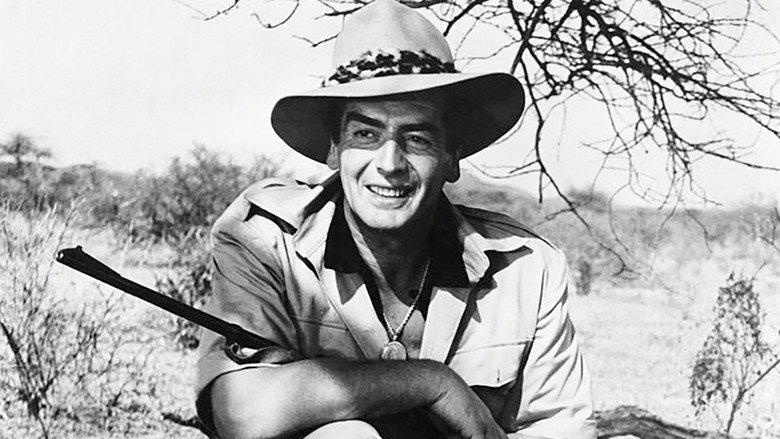 Safari still 5