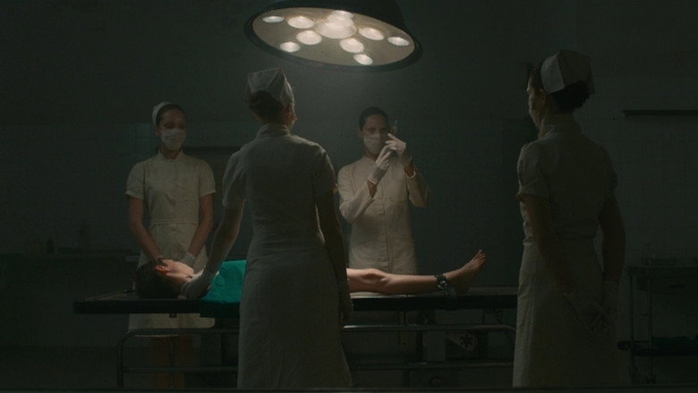 Evolution still 4