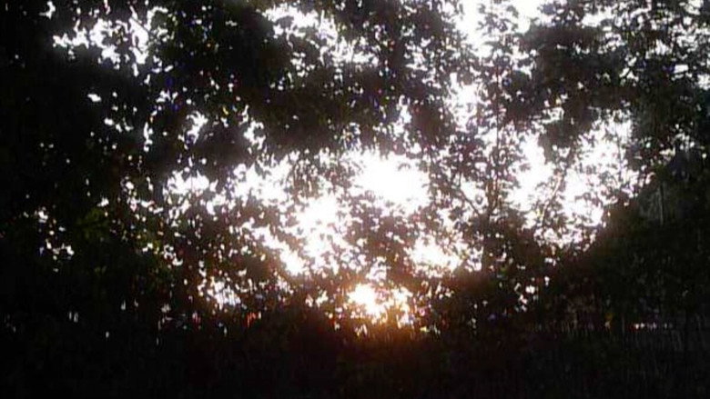 Garden Sanctuary still 4