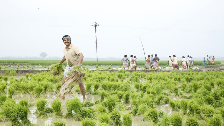 Kadaikutty Singam still 8